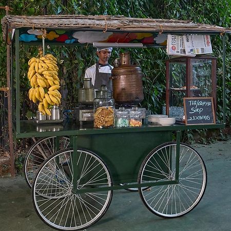 Hotel Cardamom County By Xandari Thekkady Exteriér fotografie