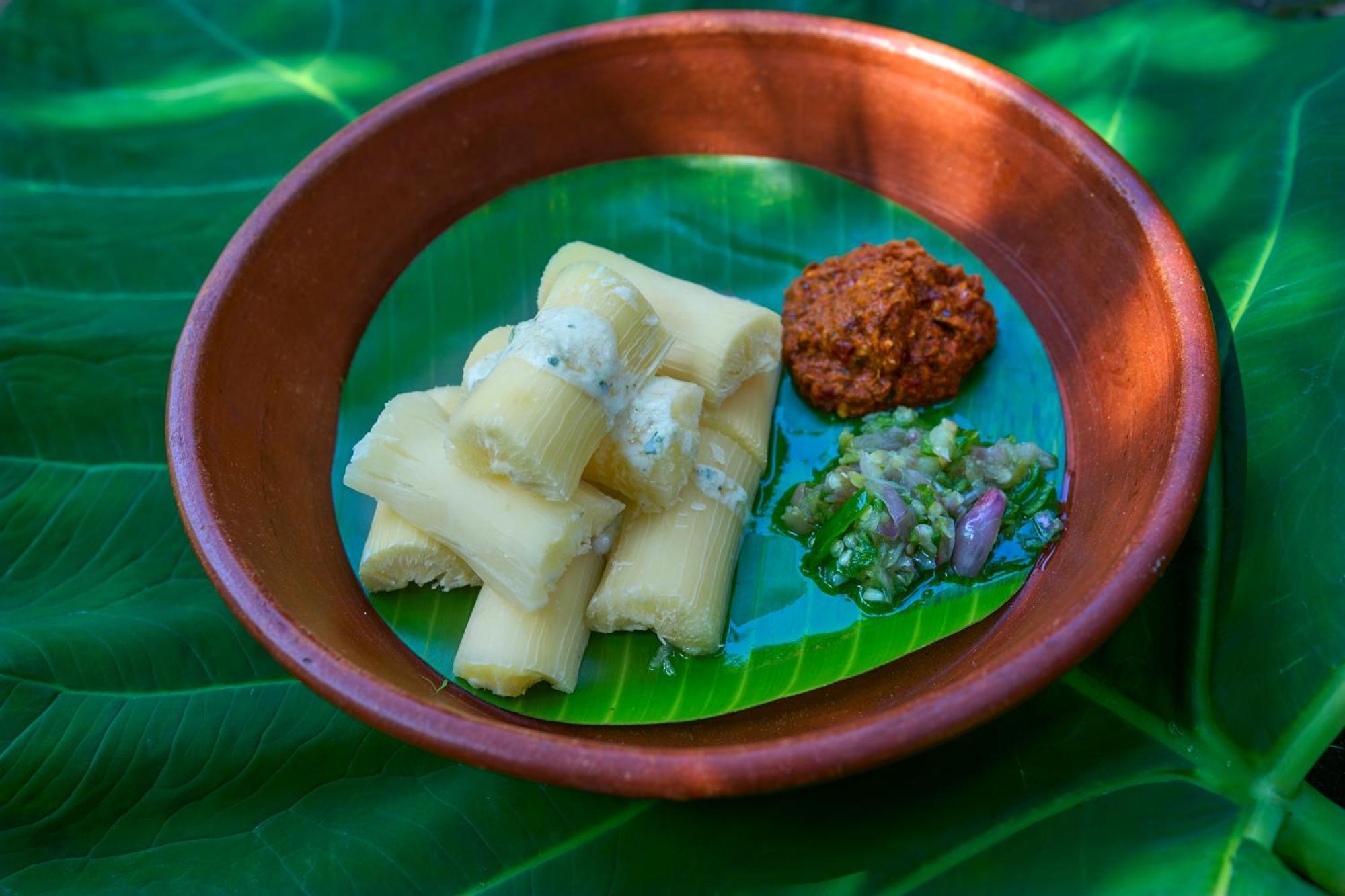 Hotel Cardamom County By Xandari Thekkady Exteriér fotografie